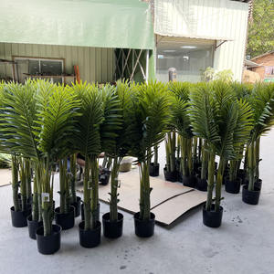 Adornos de tiro Phoenix Palm Tree Faked Plant <span class=keywords><strong>Artificial</strong></span> <span class=keywords><strong>Kentia</strong></span> Palm Plantas artificiales Árbol <span class=keywords><strong>artificial</strong></span> - Product Image 2