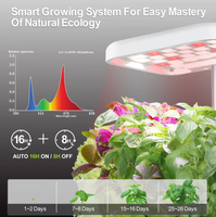 Jardinière aéroponique de bureau à auto-arrosage avec pompe et kit de culture à absorption automatique d'eau