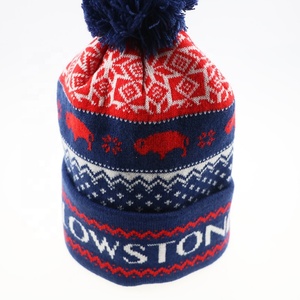 Gorro de Esquí Personalizado, Gorro de Punto de Invierno con Pompón para Equipos - Product Image 4