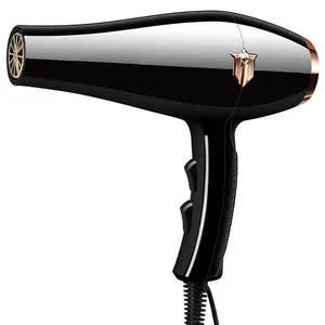 Toptan güzellik salonu saç kurutma makinesi profesyonel saç kurutma makinesi profesyonel