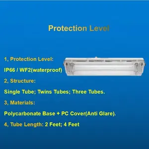 ATEx lampu neon LED, lentera AC100-240V 3 tahun tahan ledakan LED 2x30W Anti korosi plastik penuh tabung Linear