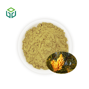 Polvere di Polline di Pino Puro di Alta Qualità, Estratto Erboristico di Grado Alimentare in Contenitore di Plastica - Product Image 1