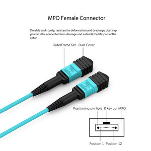 Câble à fibres optiques tressées de 40 mètres, 12 cœurs, adoptant une <span class=keywords><strong>fibre</strong></span> multimode OM3-300 de qualité supérieure - Product Image 2