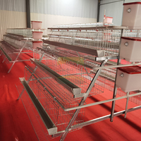 Cage à poulets autoportante de type A, 4 niveaux, 5 portes, structure en fil d'acier galvanisé, stable, installation facile, pour la ferme
