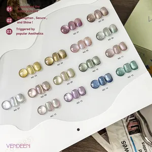 Vendeeni chuyên nghiệp từ Gel Nail Polish Nguồn cung cấp nghệ thuật 15 màu sắc mèo mắt Gel Polish Set nhãn hiệu riêng Nail Gel Polish
