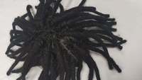 Perruque Lace Front Wig naturelle, cheveux humains, Style Dreadlock, HQ Super Cool, hommes, Stock uni