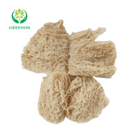 Serat bertekstur kaya Protein sayuran non-gmo produk kedelai Gratis sampel produsen penjualan langsung kualitas tinggi
