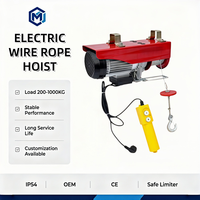 Mini palan électrique sans fil à faible bruit et antirouille 110V 220V monophasé pour le levage de marchandises en usine, entrepôt, garage