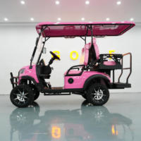 Voiturette de tourisme électrique 4 places 60V au lithium avec GPS, guide audio, pour visites de ville et golf, autonomie de 70-90 km et écran 7.10.1