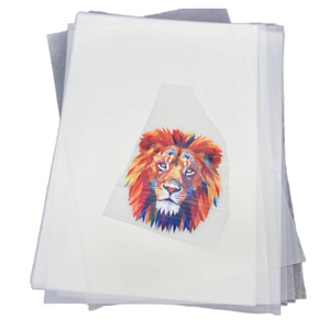 Adesivo Termofusível HN para Impressão por Transferência de Calor em Tecido, Camisetas, Impressão Termoformada, Filme DTF PET de Descolagem a Frio em Rolo - Product Image 4