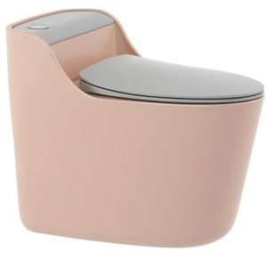 Inodoro Personalizado de Color Económico CHANDA, Descarga Manual, Acabado Mate - Product Image 4