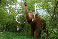 Oo IFE iant cupture, nimatronics, lephant