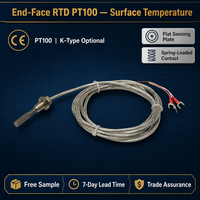 Sensor de Temperatura RTD de Platino Pt100 de Extremo Plano HUADONG