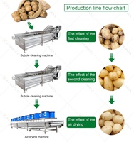 Lonkia Commerciële Industriële Bubble Fruit Avocado Mango Groente Aardappel Wasmachine/Bevroren Groente Productielijn