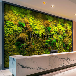 Gestabiliseerd Bewaarde Mossen Paneel, Echte Muur Decor Mos Fotolijst Eco Groene Mos Muur Kunst Op Maat Kantoor Hotel Home Decor - Product Image 1