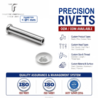 Tianfang Custom Semi Tubular Precision Rivets Suitable for Fastening and Positioning Micro-components and for OEM/ODM Assembly