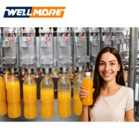 Machine de remplissage de jus de Noni automatique de ligne entière 12-40 têtes 3In1 ou équipement de machine d'embouteillage