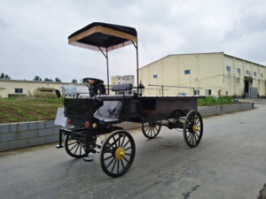 Carroza Fúnebre Eléctrica Negra con Cubierta de Vidrio / Carroza para Ataúd Tirada por Caballos - Product Image 1