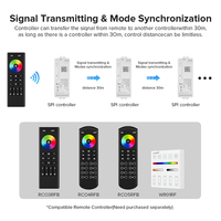 Harga Pabrik Grosir EXW Pengontrol LED Addressable RGBWIC TUYA WIFI RGBIC dengan Remote Kontrol RF 2.4G dan Kontrol Suara APP