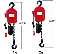 Palans à chaîne électriques OKODA 5T, levage de 10 pieds, palan à chaîne robuste, protection IP55, neuf, pour usage domestique, mines, hôtels
