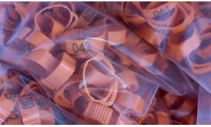 Anillos <span class=keywords><strong>de</strong></span> pierna <span class=keywords><strong>de</strong></span> pollo numerados <span class=keywords><strong>de</strong></span> 14-22mm para patos, <span class=keywords><strong>pollitos</strong></span>, cobayas, palomas, gansos, suministro <span class=keywords><strong>de</strong></span> granja nuevo - Product Image 3