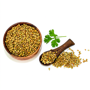 Semillas Enteras de Cilantro Indio Frescas de Primera Calidad, 100% Naturales de Gujarat, Nueva Temporada, Listas para Exportar, Especias con 12 Meses de Vida Útil - Product Image 1