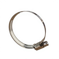 Collier de serrage à vis sans fin en acier inoxydable de type américain 14,2 mm pour bande perforée W5 316 pour refroidisseur intermédiaire de compresseur d'air et échangeur de chaleur
