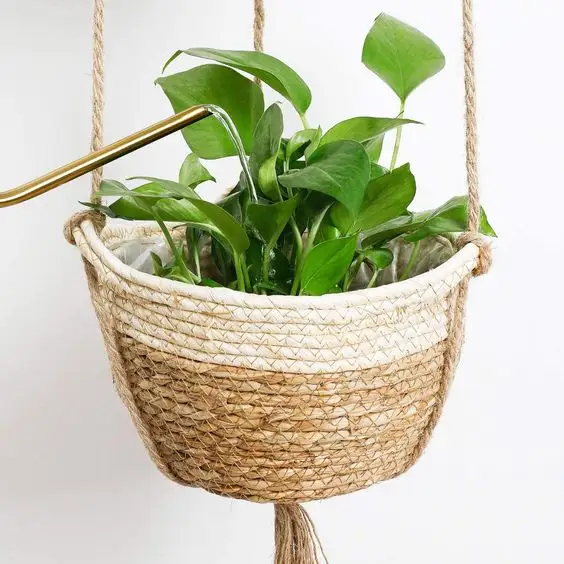 Natuurlijke Zeegras Plant Mand Voor Home Decor Zeegras Opknoping Planter Pot Cover Uit Vietnam Hoge Kwaliteit