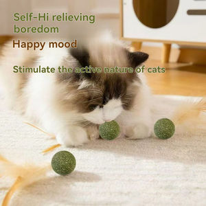 Jouets pour <span class=keywords><strong>chat</strong></span> à la menthe, best-seller, badminton pour <span class=keywords><strong>chat</strong></span>, divertissement personnel, soulagement <span class=keywords><strong>de</strong></span> <span class=keywords><strong>l</strong></span>'ennui, balle en <span class=keywords><strong>herbe</strong></span>, broyage des dents, bâton pour taquiner le <span class=keywords><strong>chat</strong></span> - Product Image 6