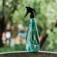 Pulvérisateur domestique 3L Balcon Jardinage Bouilloire d'arrosage pour la désinfection de l'eau