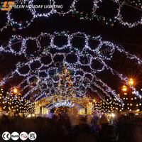 Guirnalda de Luces LED de Alta Calidad Personalizada para Jardín, Bodas y Decoración Navideña, con Control Remoto, Dos Colores, Clasificación IP65, 100 LED