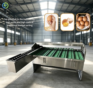 Rueda transportadora ajustable para clasificador de huevos: Solución para el retraso en el transporte y avance. - Product Image 1