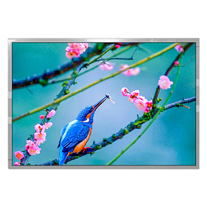 MT220WPM-N10 Mới Ban Đầu <span class=keywords><strong>22</strong></span> Inch Màn Hình Lcd 1680X1050 <span class=keywords><strong>IPS</strong></span> LCD Hiển Thị LVDS Giao Diện Cho Máy Công Nghiệp - Product Image 3