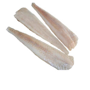 Gran oferta, filete de abadejo de <span class=keywords><strong>Alaska</strong></span> congelado, filete de salmón APO, pescado de primera calidad del Océano Pacífico Norte - Product Image 1