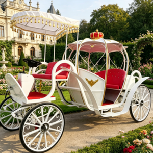 Chariot de mariage en forme de citrouille de haute qualité pour photos, excursions panoramiques, défilés de festivals et usage commercial, <span class=keywords><strong>prix</strong></span> abordable sur mesure - Product Image 3