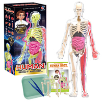 Kit de Modèles d'Anatomie du Corps Humain pour Enfants, 9 Organes Souples, Squelette Lumineux à Assembler, Cadeau Éducatif STEM pour la Biologie et les Sciences