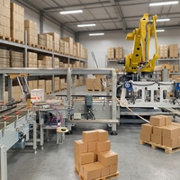 Palettiseur robotisé personnalisé, machine de palettisation automatique pour cartons, canettes, bouteilles, barils - Palettiseur robotisé à haute productivité