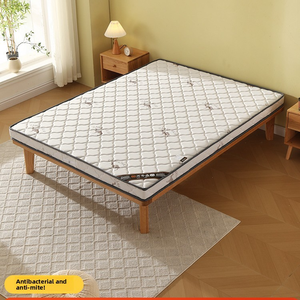 Cuando está lejos de casa, Este colchón es el "hogar" más tranquilizador para usted en un país extranjero. - Product Image 1