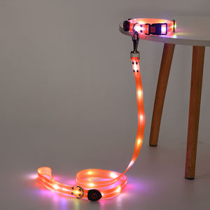 ペット猫調整可能USB充電式発光リードロープライトアップLED犬用カラーリーシュ - Product Image 2