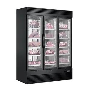 干龄冰箱牛肉Ager商用萨拉米陈酿冰箱冰箱超市治愈肉奶酪展示冰箱