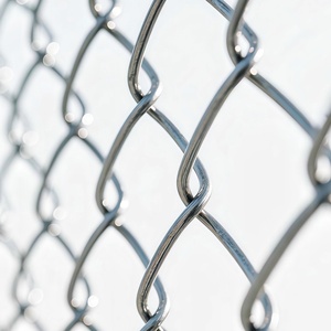 Malla <span class=keywords><strong>de</strong></span> alambre <span class=keywords><strong>de</strong></span> diamante galvanizada <span class=keywords><strong>de</strong></span> bajo precio para cercas <span class=keywords><strong>de</strong></span> <span class=keywords><strong>juegos</strong></span>, directamente <span class=keywords><strong>de</strong></span> fábrica - Product Image 3