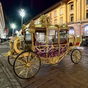 2024 Exclusieve Bruiloft Cinderella Paardenkoetsen Witte Bruiloft Western Oem Nieuwste Paardenkoets