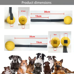 Küçük orta büyük köpekler Chewers için bir ip üzerinde köpek oyuncak topları, eğitim köpekler için dayanıklı interaktif top, EVA köpük topu yüzen - Product Image 4