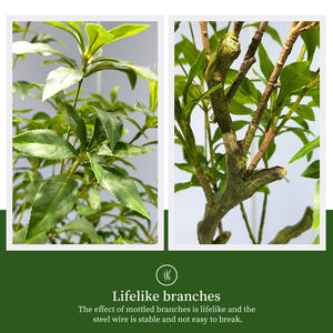 Vendite dirette della fabbrica alta simulazione piante artificiali Pieris tree garden indoor home decoration bonsai tree - Product Image 6