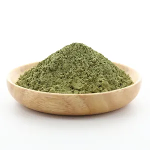 Amostra grátis atacado moringa extrato de folha moringa pó