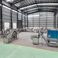 Volledig Automatische Patat Fries Friteuse Machine/Productielijn 2000KG/H Capaciteit Voedselveilige RVS