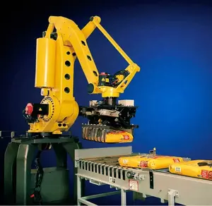 Hete Verkopende Robot/Robotarm Palletizer Machine Voor 15 Kg 25Kg 50Kg Zak/Karton/Flessen