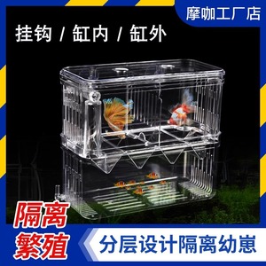 Caja de cría para peceras, caja de aislamiento para guppys, caja de cría para alevines de peceras pequeñas, dispositivo de reproducción de <span class=keywords><strong>peces</strong></span> - Product Image 2