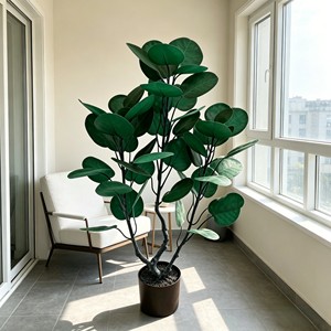 Plante d'arbre à monnaie préservée luxurante avec tronc tressé et feuilles en forme de parapluie pour la prospérité, à poser sur bureau et étagère - Product Image 6