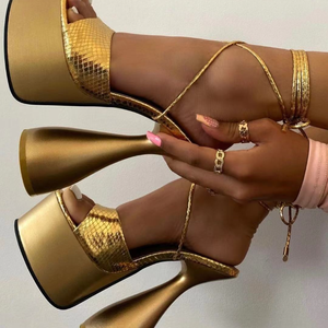 Size 35-42 <b>Pole</b> <b>Dance</b> Strappy Sandalias Tacon Strange Lace up 2025 Sandals Platform Heels for Women - Product Image 1